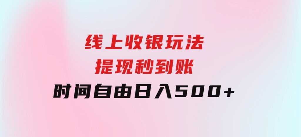 线上收银玩法，提现秒到账，时间自由，日入500+-大源资源网