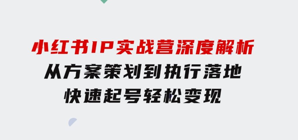 小红书IP实战营深度解析：从方案策划到执行落地，快速起号 轻松变现-大源资源网