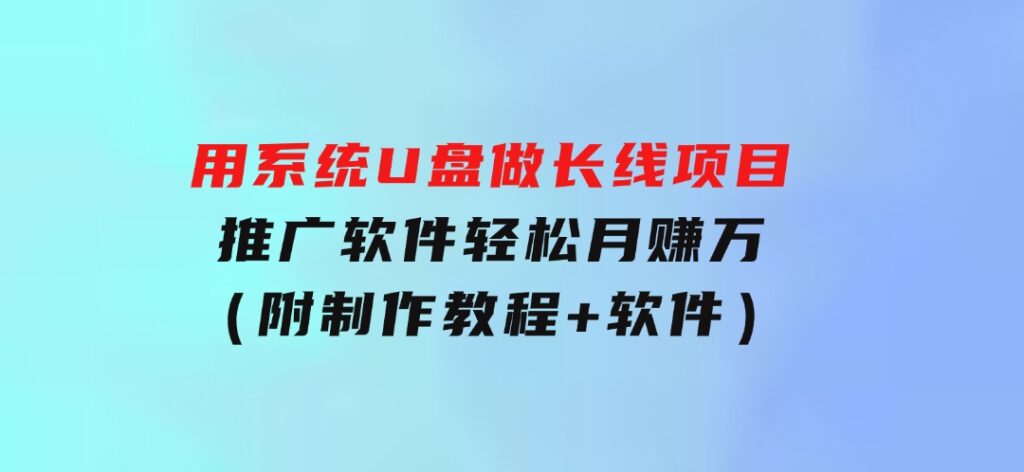 用系统U盘做长线项目，推广软件轻松月赚万元（附制作教程+软件）-大源资源网