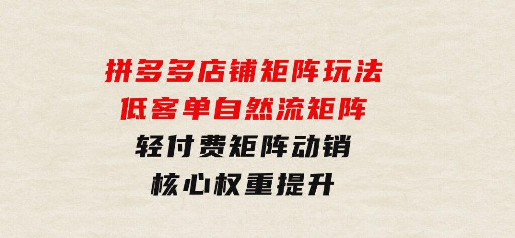 拼多多店铺矩阵玩法：低客单自然流矩阵 / 轻付费矩阵 动销 / 核心权重提升-大源资源网