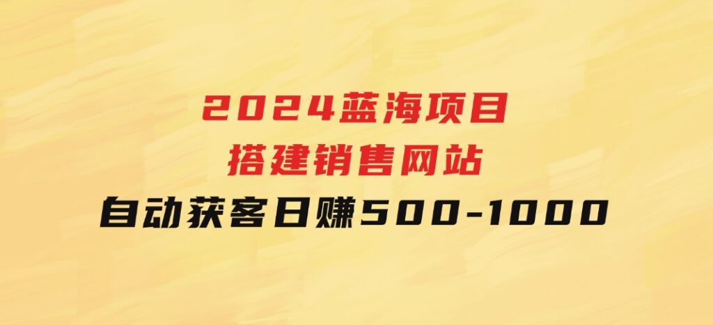 2024蓝海项目，搭建销售网站，自动获客，日赚500-1000-大源资源网