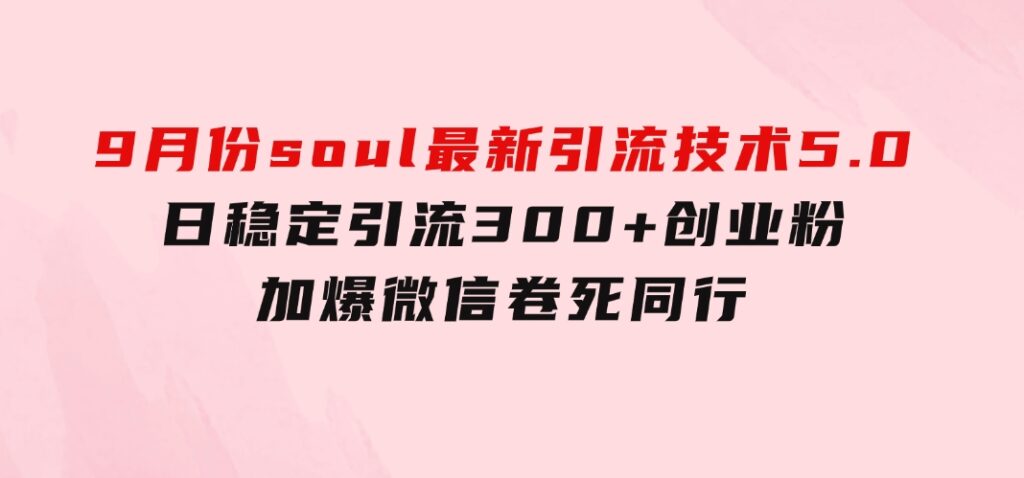 9月份soul最新引流技术5.0，日稳定引流300+创业粉，加爆微信，卷死同行-大源资源网