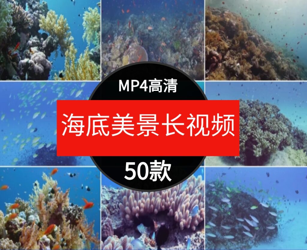 高清海底世界海洋生物鱼群海豚鲨鱼珊瑚潜水特写实拍剪辑视频素材-大源资源网