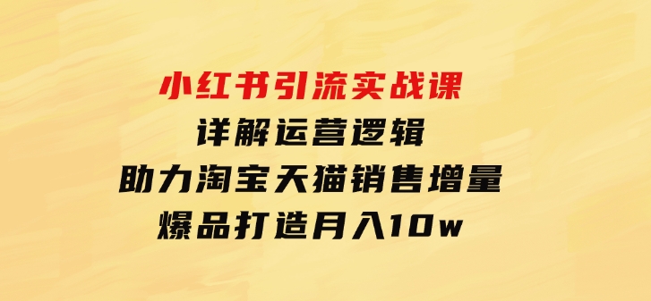 小红书引流实战课：详解运营逻辑，助力淘宝天猫销售增量，爆品打造月入10w-大源资源网