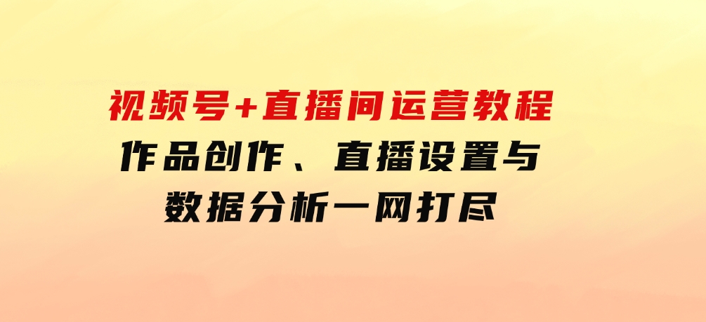 视频号+直播间运营教程：作品创作、直播设置与数据分析一网打尽-大源资源网