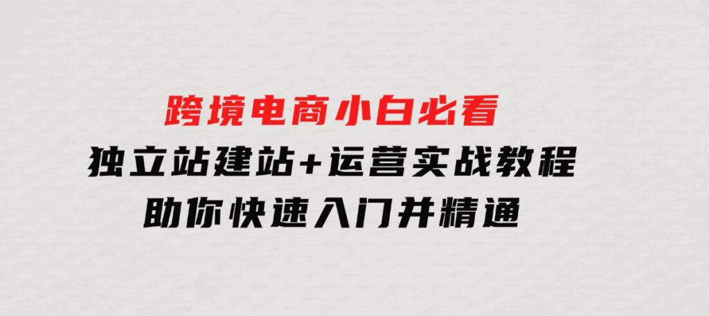 跨境电商小白必看！独立站建站+运营实战教程，助你快速入门并精通-大源资源网