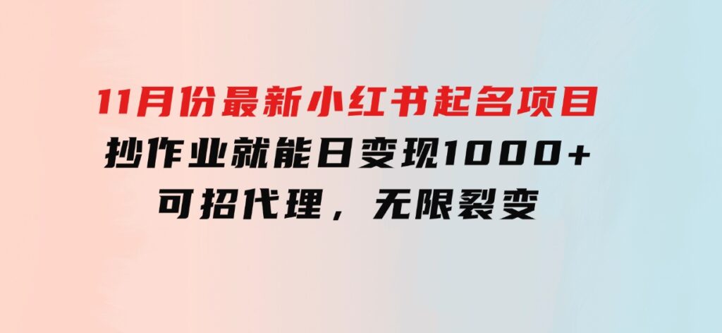 11月份最新小红书起名项目，抄作业就能日变现1000+，可招代理，无限裂变-大源资源网