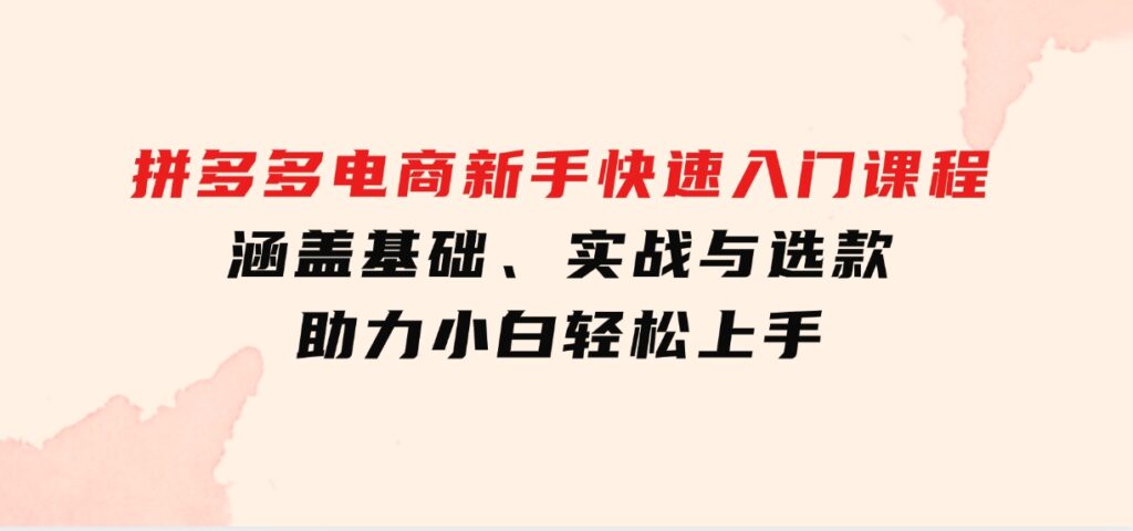 拼多多电商新手快速入门课程：涵盖基础、实战与选款，助力小白轻松上手-大源资源网