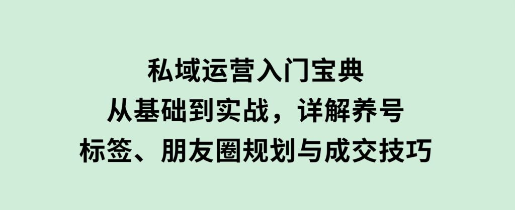 私域运营入门宝典：从基础到实战，详解养号、标签、朋友圈规划与成交技巧-大源资源网